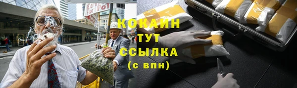 молекула духа Майский