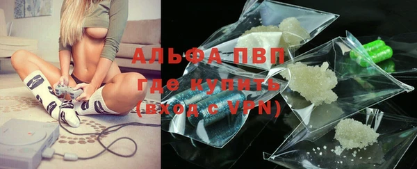стаф Сосновка