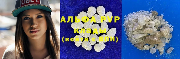 ПСИЛОЦИБИНОВЫЕ ГРИБЫ Сосновый Бор