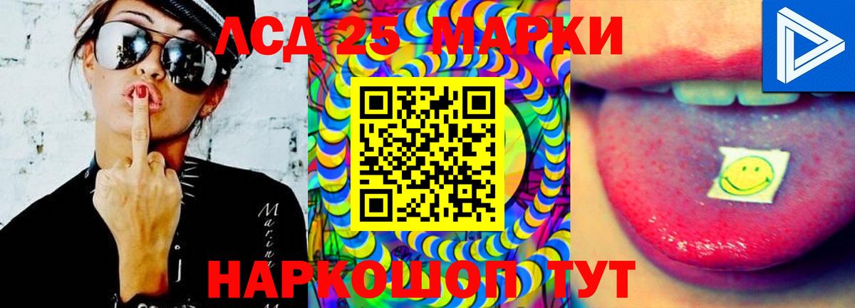 МЕФ Сосновый Бор