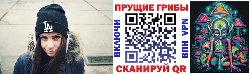 дарк нет как зайти  Сосновый Бор  Галлюциногенные грибы GOLDEN TEACHER 